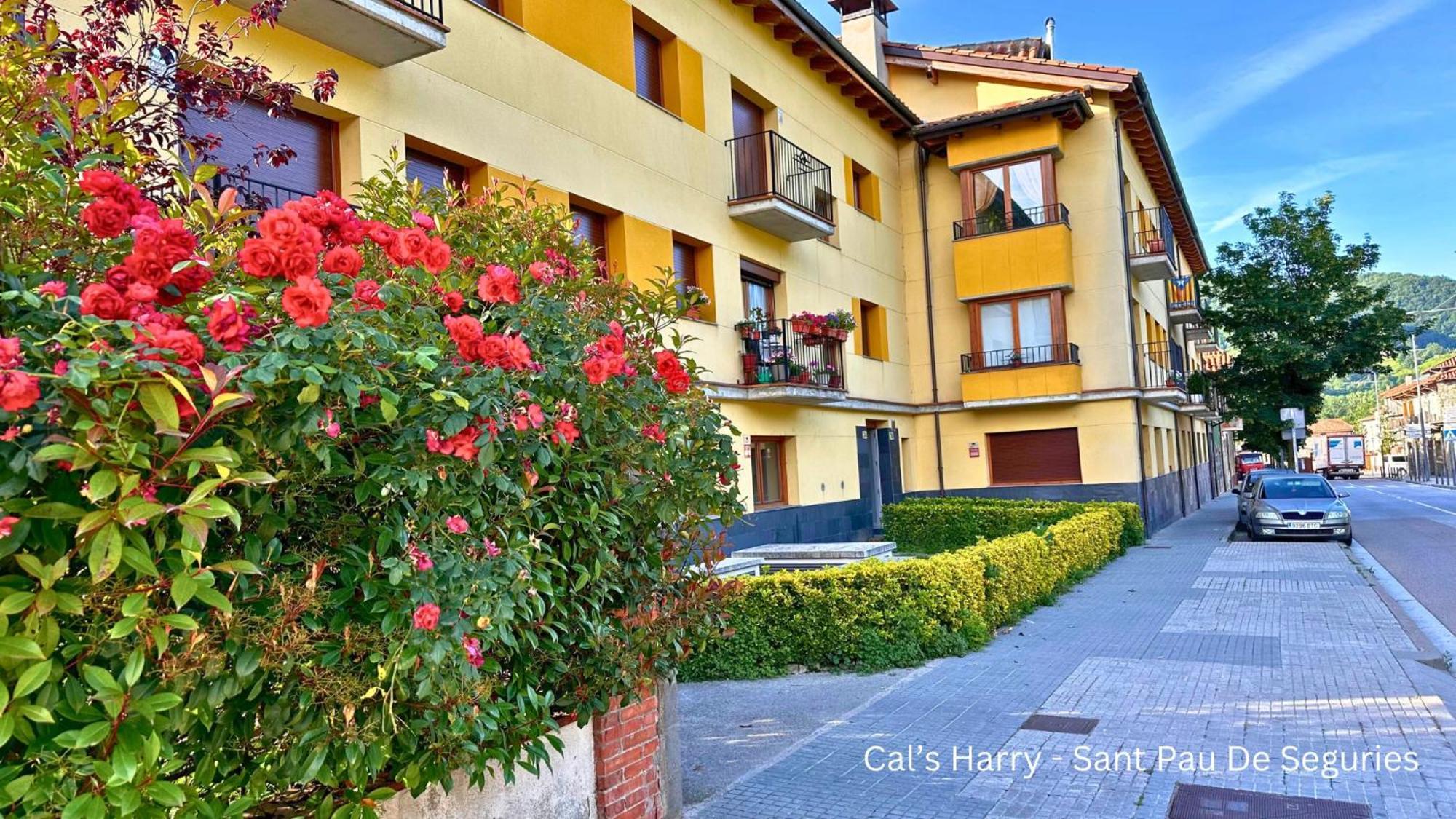 Cal Harrys - La Mejor Casa De Vacaciones En Pyrenees Con Vistas A La Montana Sant Pau de Segúries Buitenkant foto